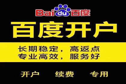 SEM代运营公司助力企业高效推广案例解析