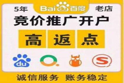 成功案例：信息流优化师在社交平台上的广告策略